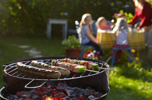 De verschillende soorten barbecues